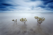 1er prix catégorie paysages - Concours International de photos nature de Namur 2015