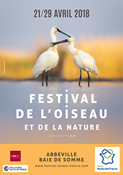 Festival de l'oiseau et de la nature - le Crotoy - du 27 au 29/04/18 - Ouest Américain