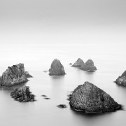 Nouvelle Zélande Noir et Blanc