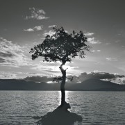 Nature intemporelle