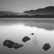 Nouvelle Zélande Noir et Blanc