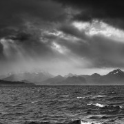 Chili Noir et Blanc