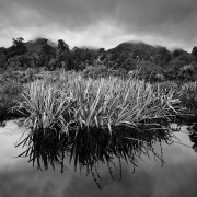 Nouvelle Zélande Noir et Blanc