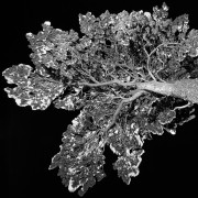 Finlande Noir et Blanc