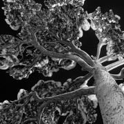 Finlande Noir et Blanc