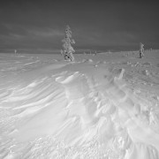 Finlande Noir et Blanc