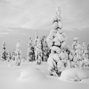 Finlande Noir et Blanc