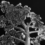 Finlande Noir et Blanc