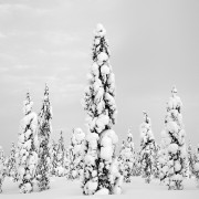 Finlande Noir et Blanc