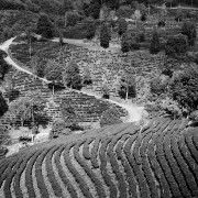 Thailande Noir et Blanc
