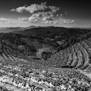 Thailande Noir et Blanc