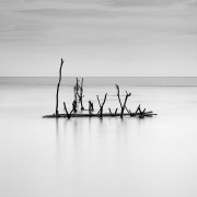 Thailande Noir et Blanc