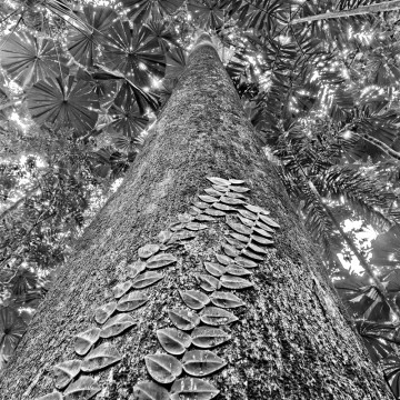 Travail d'auteur - premier exemple