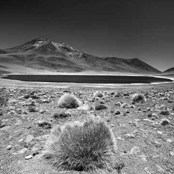 Travail d'auteur - premier exemple