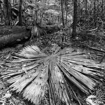 Travail d'auteur - deuxième exemple