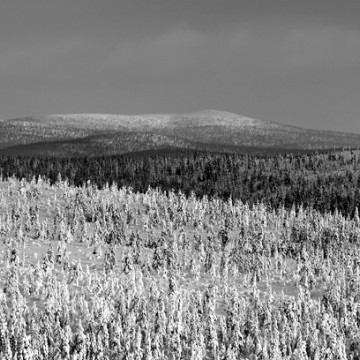 Travail d'auteur - deuxième exemple