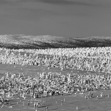 Travail d'auteur - deuxième exemple