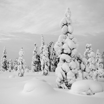 Travail d'auteur - premier exemple