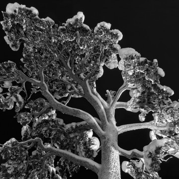 Travail d'auteur - deuxième exemple