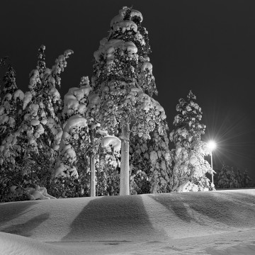 Travail d'auteur - premier exemple