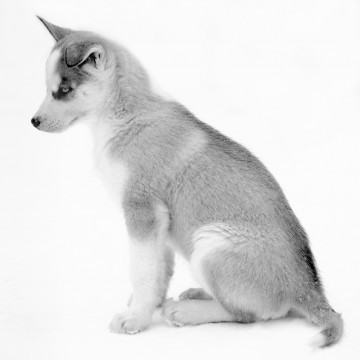 Travail d'auteur - premier exemple