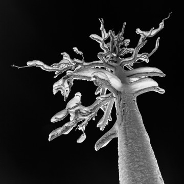 Travail d'auteur - premier exemple