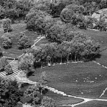 Travail d'auteur - premier exemple