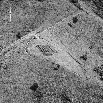 Travail d'auteur - premier exemple