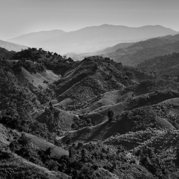 Travail d'auteur - deuxième exemple