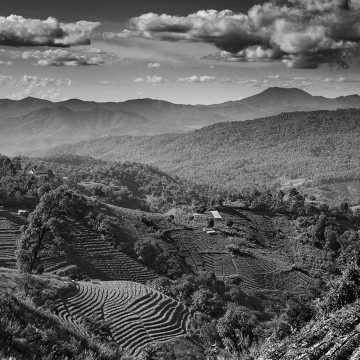 Travail d'auteur - deuxième exemple