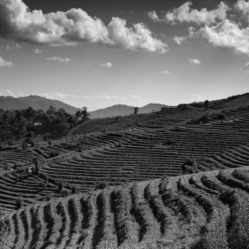 Travail d'auteur - premier exemple