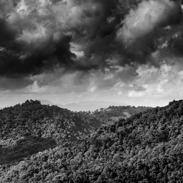 Travail d'auteur - premier exemple