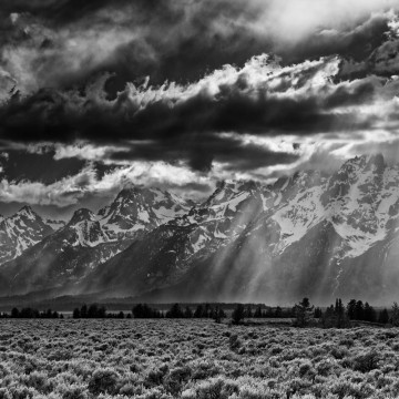 Travail d'auteur - premier exemple