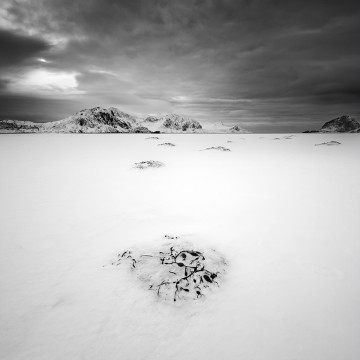 Travail d'auteur - deuxième exemple