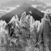 Glacier Perito Moreno, Patagonie, Argentine. 2013