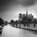 Cathédrale Notre Dame, Paris, France. 2015