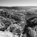 Parc national de Bryce Canyon 2, Utah, USA. 2016