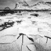 Haukland1, Iles Lofoten, Norvège. 2016